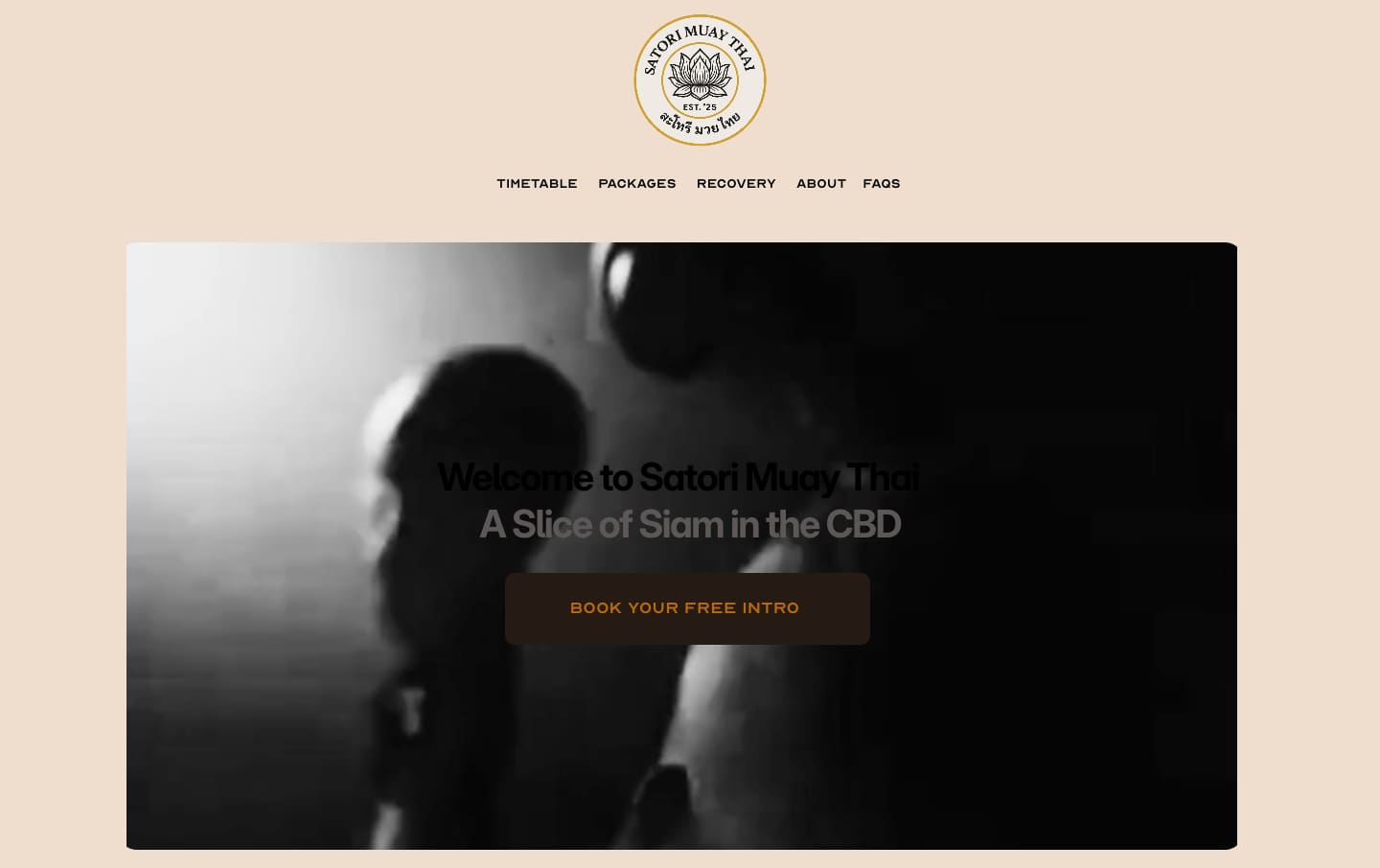 The Satori Muay Thai website, a muay thai gym business in Newcastle CBD, shown in a desktop browser